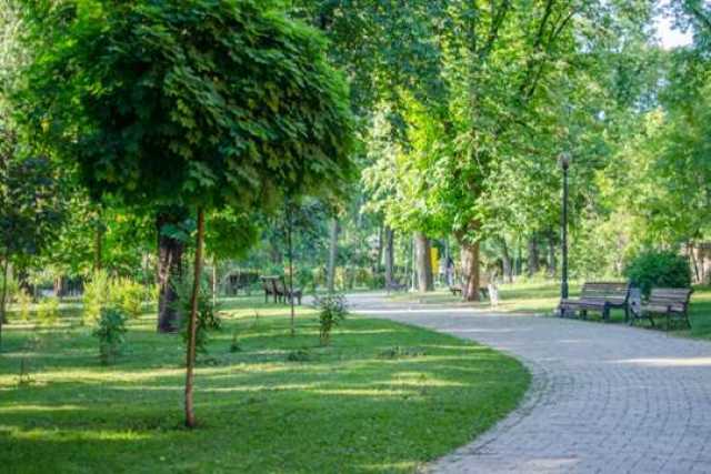 Территория зеленых зон в Киеве растет