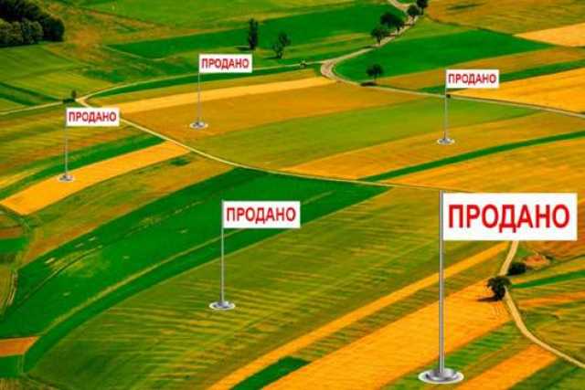 В аукционы по продаже земли внесли изменения