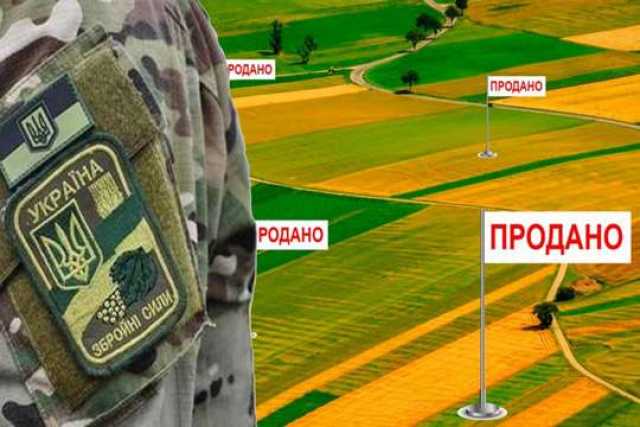Трем семьям погибших участников АТО дадут деньги вместо земли